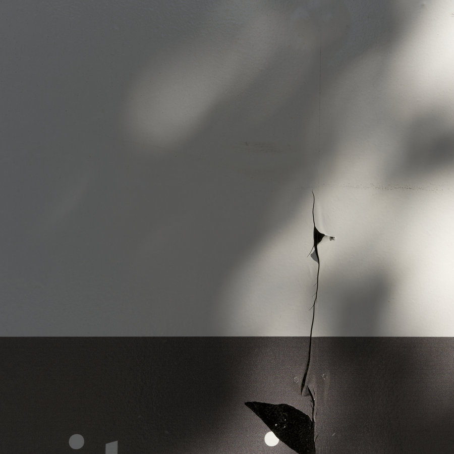 DYEU II-004_29052016_015